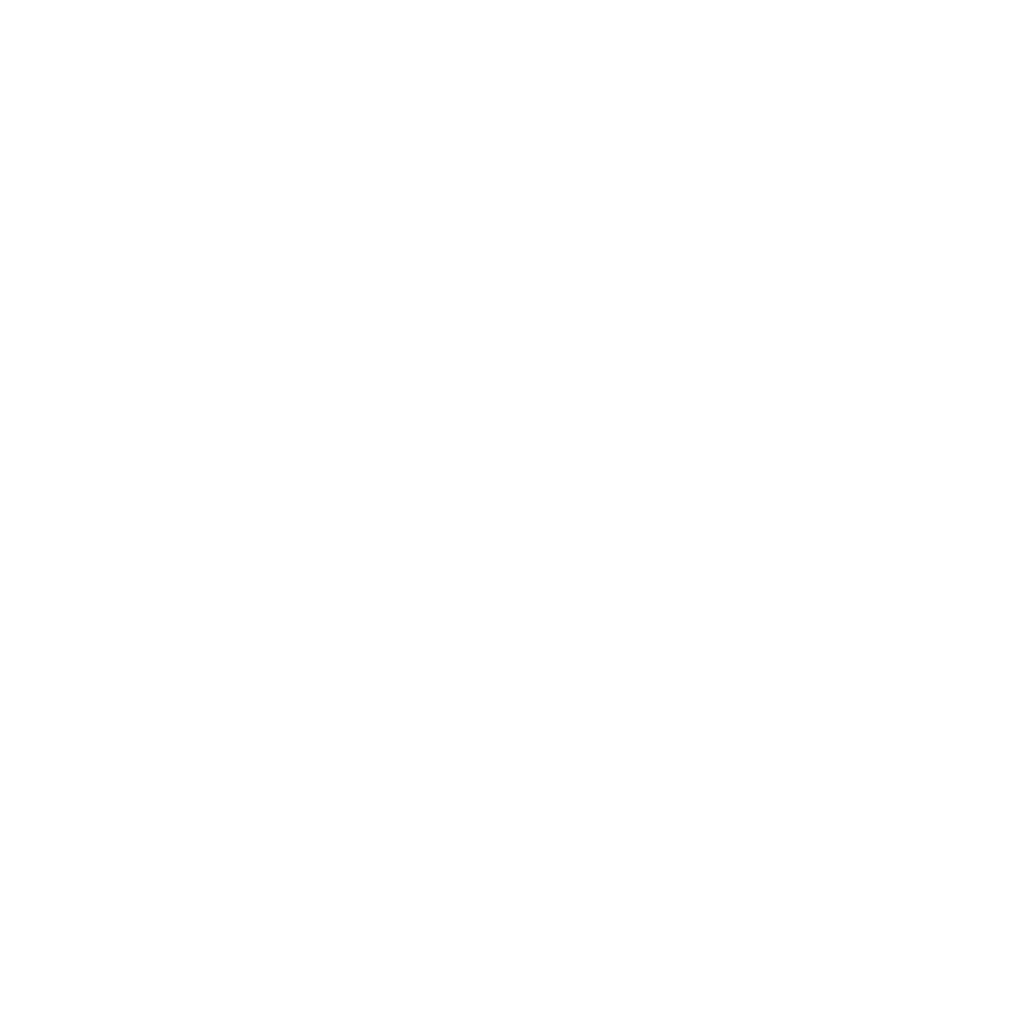 Neomersion Logo